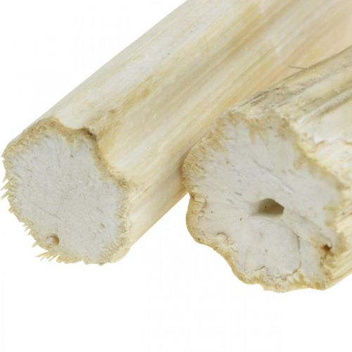 Floristik24 Slunečnicová nať bělená 10cm 24 ks