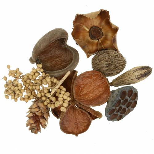 Floristik24 Exotický sortiment se strobusovými šiškami příroda 300g