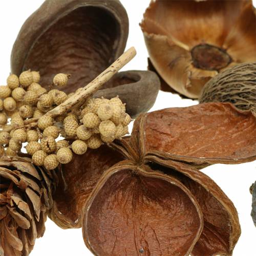 Floristik24 Exotický sortiment se strobusovými šiškami příroda 300g