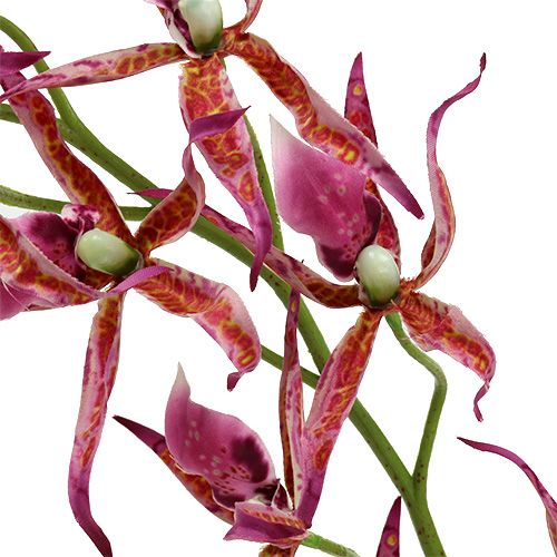 Floristik24 Pavoučí orchidej růžovo-oranžová 108cm 3ks