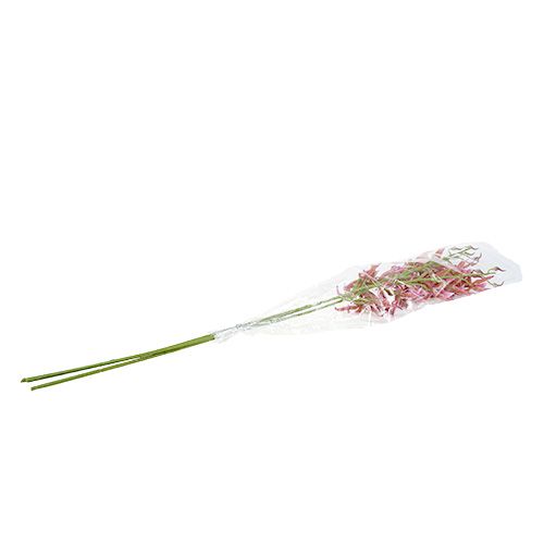Floristik24 Pavoučí orchidej růžovo-oranžová 108cm 3ks