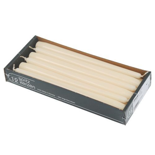 Floristik24 Svíčky kuželové 250/23 krémové 12ks.