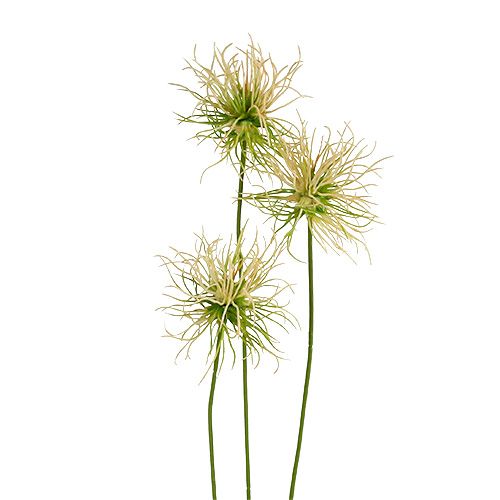 Floristik24 Lopuchové větvičky smetanově zelené 63cm 4ks