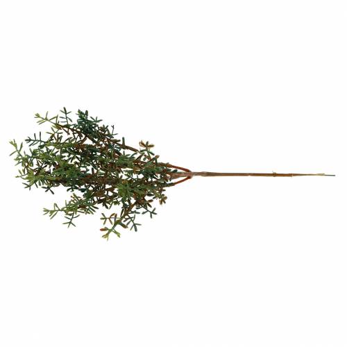 Floristik24 Tymián trsátko umělý zelený 26cm 6ks