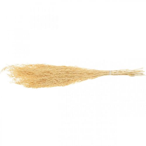 Floristik24 Sušená mořská levandule krém Statice Dry Deco 100g