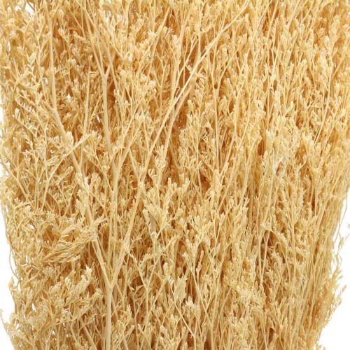 Floristik24 Sušená mořská levandule krém Statice Dry Deco 100g