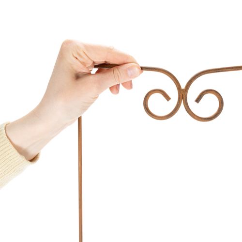 položky Trellis, pomůcka pro lezení, zakřivený dekorativní prvek pro květinové záhony a květináče, 75 cm