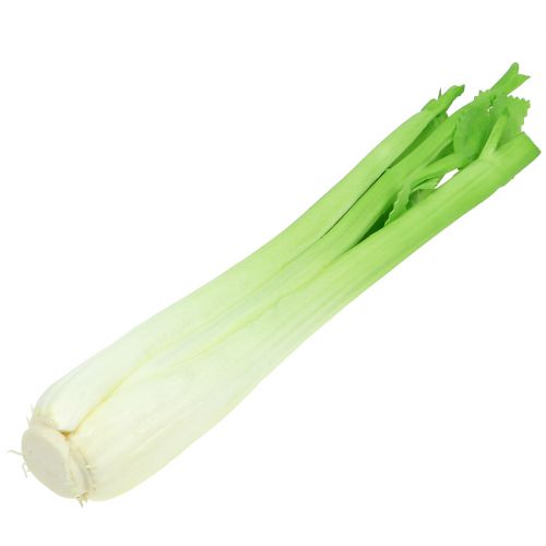 Floristik24 Celerová dekorace 34cm
