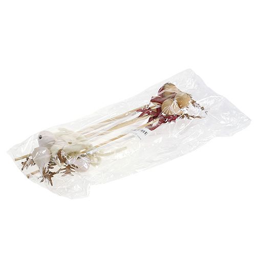 Floristik24 Zástrčka elk nature, bílá 7cm L30cm 8ks