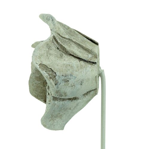Floristik24 Zástrčné růže různé. Ø5,5cm L19cm 4 kusy