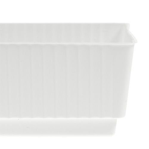 Floristik24 Zásuvková vanička mokrá pěna 23 x 8 x 4,5 bílá 10 kusů