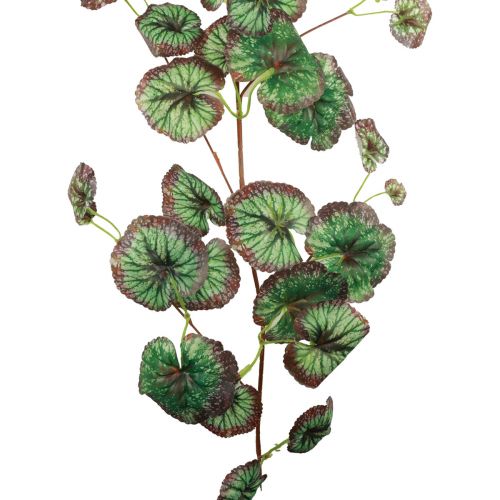 položky Saxifraga ozdobná girlanda umělá zelená Saxifraga 152cm