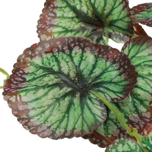 položky Saxifraga ozdobná girlanda umělá zelená Saxifraga 152cm