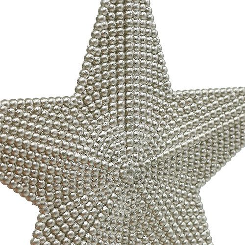 položky Hvězda stříbrná na zavěšení 11cm L19cm 6ks