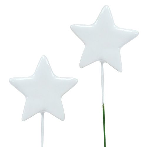 Floristik24 Hvězda na drátě 5cm bílá 48ks