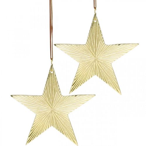 Floristik24 Zlatá hvězda, adventní dekorace, deko přívěsek na Vánoce 12×13cm 2ks