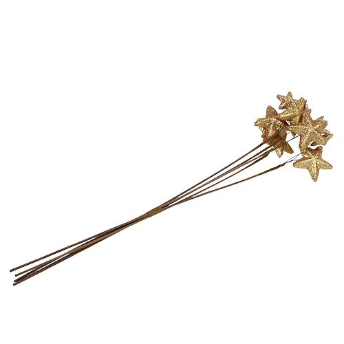 Floristik24 Hvězdičky v balení s třpytivým zlatem 60cm 5ks