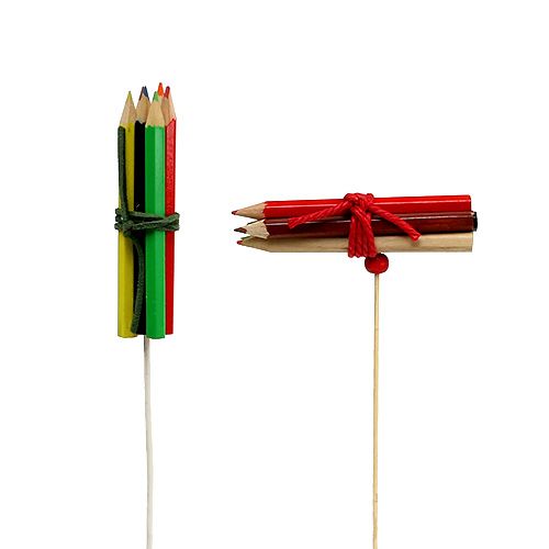 Floristik24 Zástrčky svazku kolíků barevné 10ks