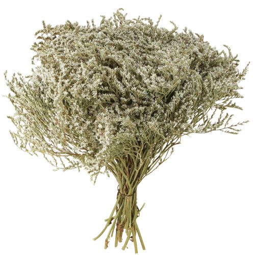 položky Mořská levandule Statice Tatarica sušené květy přírodní 2kg