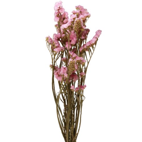 Floristik24 Beach Lilac Pink Limonium Sušené květiny 60cm 50g