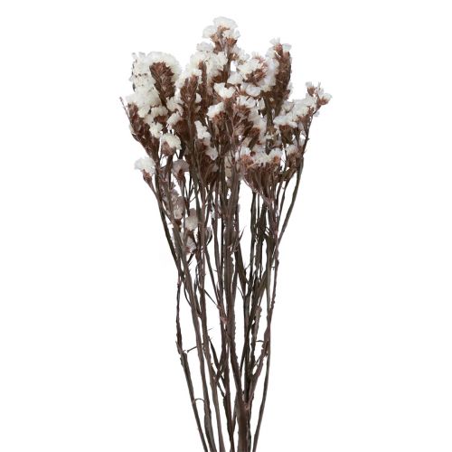 Floristik24 Plážový šeřík bílé Limonium sušené květiny 60cm 35g