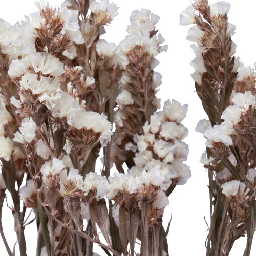 položky Plážový šeřík bílé Limonium sušené květiny 60cm 35g