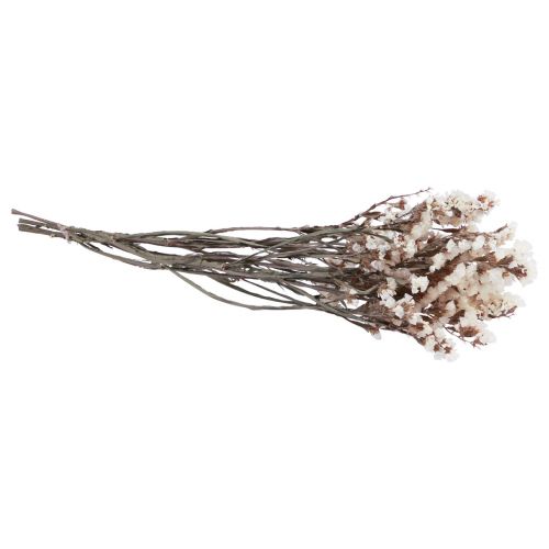Floristik24 Plážový šeřík bílé Limonium sušené květiny 60cm 35g