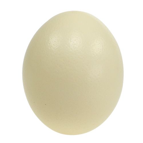 Pštrosí vejce příroda foukané prázdné dekorace