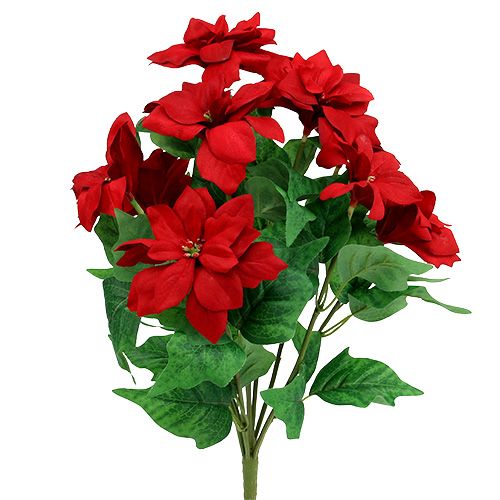 Kytice Poinsettia červená L47cm