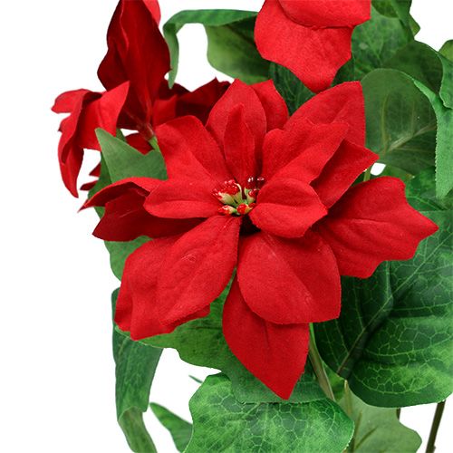 položky Kytice Poinsettia červená L47cm