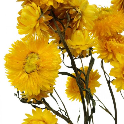 položky Sušený květ Žlutý slámový květ Helichrysum Suchá dekorace Parta 50cm 45g