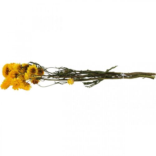 Floristik24 Sušený květ Žlutý slámový květ Helichrysum Suchá dekorace Parta 50cm 45g