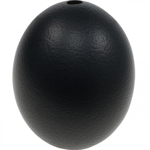 Dekorace z pštrosích vajec vyfouknutá Velikonoční dekorace černá Ø12cm V14cm