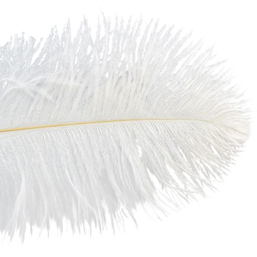 položky Pštrosí peří Exotická dekorace Bílé peří 32-35cm 4 ks