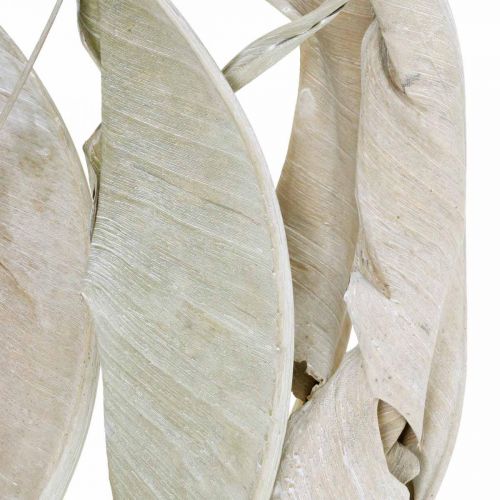 položky Listy Strelitzia umyté bílé sušené 45-80cm 10p