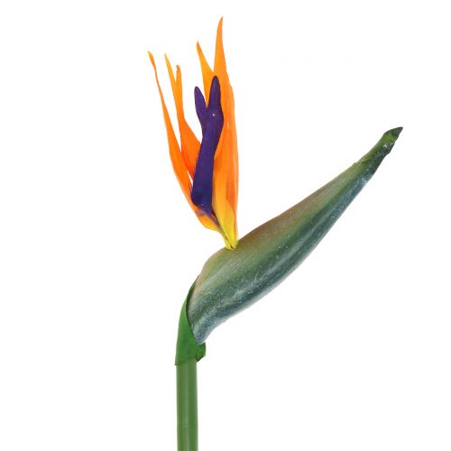 Floristik24 Umělá květina Strelitzia rajka 98cm