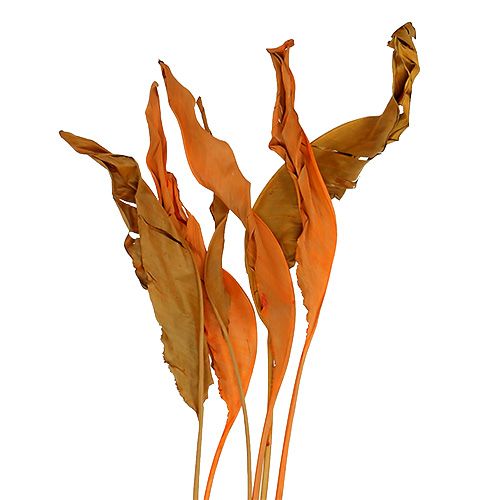 Floristik24 Strelitzia listy oranžové 120cm 20 ks