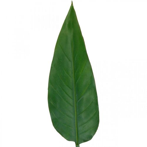 Floristik24 Strelitzia papoušek květina Dekorativní list Strelitzia list zelený L81cm