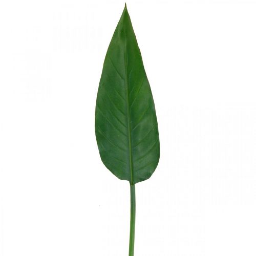 Floristik24 Strelitzia papoušek květina Dekorativní list Strelitzia list zelený L81cm