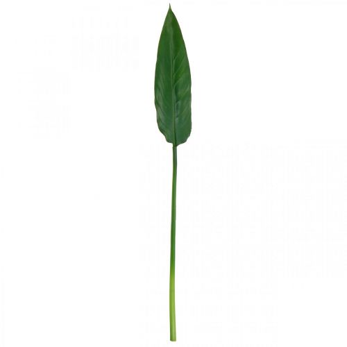 Floristik24 Strelitzia papoušek květina Dekorativní list Strelitzia list zelený L81cm