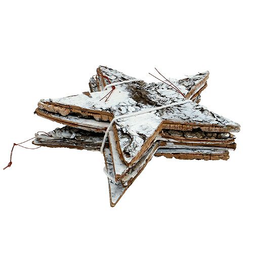 Floristik24 Březová kůra hvězda velká bílá 19cm 4ks