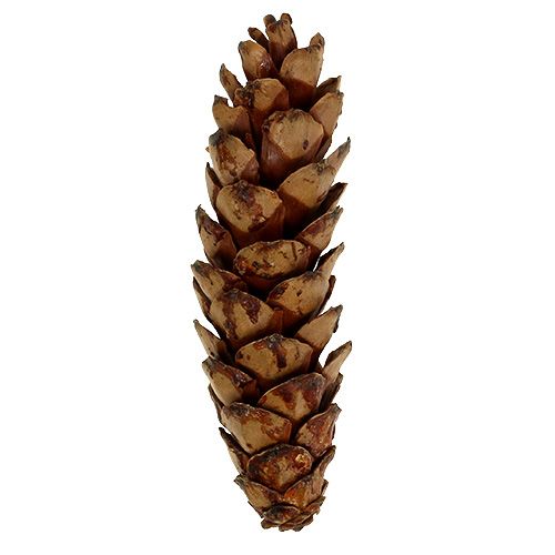 položky Strobus kužely 10-15cm malované 100 kusů