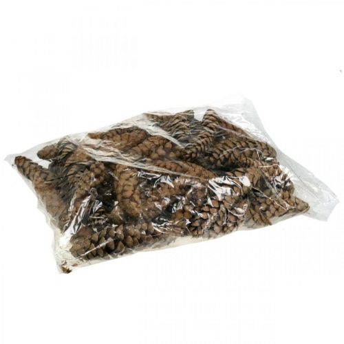 položky Šišky Bílá borovice Strobus Natural Smíšené 2,5kg