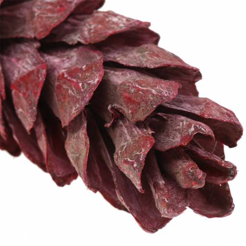 položky Strobus šišky přírodní dekorace červená 15cm - 20cm 50ks