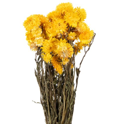 Floristik24 Sušený žlutý smileník (Helichrysum), kytice sušených květů, 100g