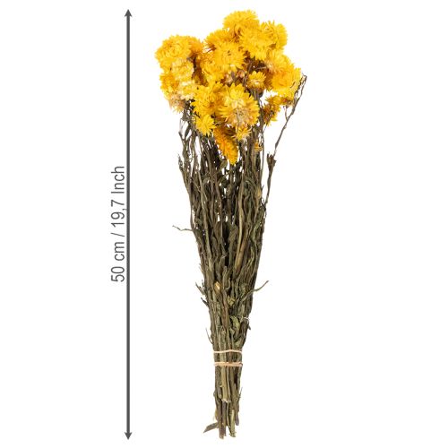 položky Sušený žlutý smileník (Helichrysum), kytice sušených květů, 100g