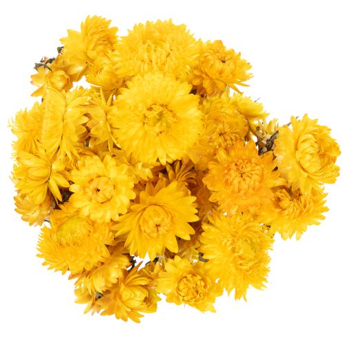 položky Sušený žlutý smileník (Helichrysum), kytice sušených květů, 100g