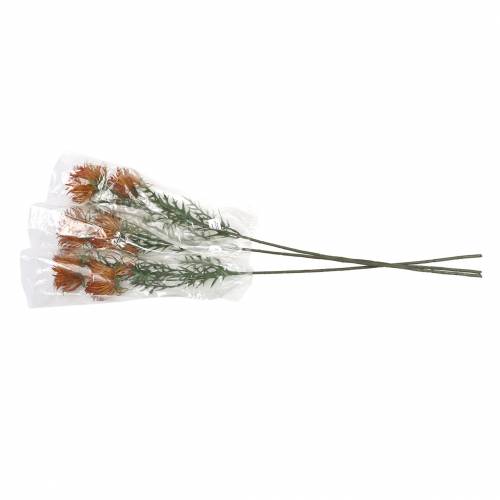 Floristik24 Xanthiová větev oranžová 69cm 3ks