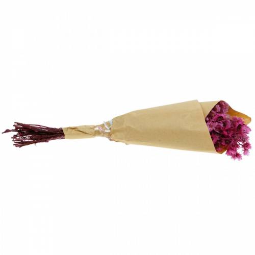 Floristik24 Sušené květiny Růžové Sušené květiny Kytice Sušené květiny Růžové V21cm