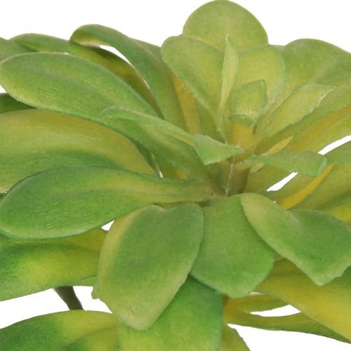 položky Sukulentní umělá rostlina s trsátkem Aeonium Green 30cm 4 ks
